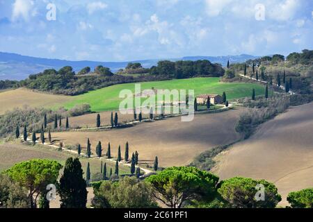 Idyllische toskanische Landschaft mit Feldweg und Zypresse in der Nähe von Pienza, Vall d'Orcia Italien, Europa Stockfoto