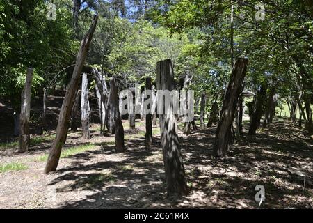 Log oder Trunkk Wald, in Ökotourismus Bauernhof, im Inneren von Brasilien, zeigt Protokolle von Bäumen und Vegetation, Brasilien, Südamerika Stockfoto