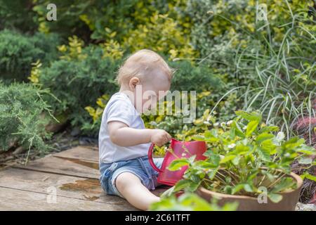 Cool Baby Junge als kleiner Gärtner ist Gießen Erdbeeren in einem Topf Stockfoto