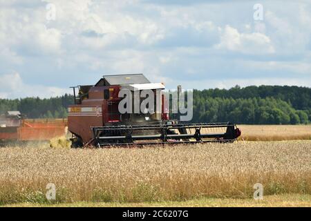 NARO-FOMINSK, RUSSLAND - 31. JUL 2016: Ernte von Weizen. Kombinieren Harvester in landwirtschaftlichen Feldern. Russland ist der erste im Export von Weizen in der w Stockfoto