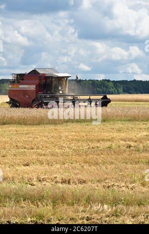 NARO-FOMINSK, RUSSLAND - 31. JUL 2016: Ernte von Weizen. Kombinieren Harvester in landwirtschaftlichen Feldern. Russland ist der erste im Export von Weizen in der w Stockfoto