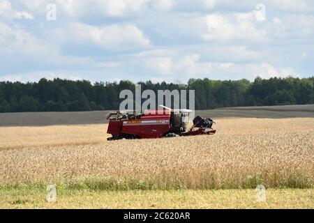 NARO-FOMINSK, RUSSLAND - 31. JUL 2016: Ernte von Weizen. Kombinieren Harvester in landwirtschaftlichen Feldern. Russland ist der erste im Export von Weizen in der w Stockfoto