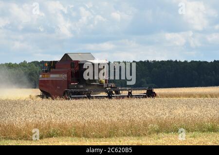 NARO-FOMINSK, RUSSLAND - 31. JUL 2016: Ernte von Weizen. Kombinieren Harvester in landwirtschaftlichen Feldern. Russland ist der erste im Export von Weizen in der w Stockfoto