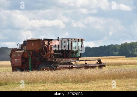 NARO-FOMINSK, RUSSLAND - 31. JUL 2016: Ernte von Weizen. Kombinieren Harvester in landwirtschaftlichen Feldern. Russland ist der erste im Export von Weizen in der w Stockfoto