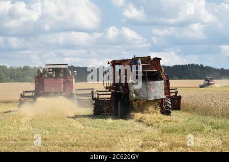 NARO-FOMINSK, RUSSLAND - 31. JUL 2016: Ernte von Weizen. Kombinieren Harvester in landwirtschaftlichen Feldern. Russland ist der erste im Export von Weizen in der w Stockfoto