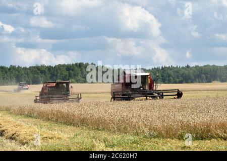 NARO-FOMINSK, RUSSLAND - 31. JUL 2016: Ernte von Weizen. Kombinieren Harvester in landwirtschaftlichen Feldern. Russland ist der erste im Export von Weizen in der w Stockfoto