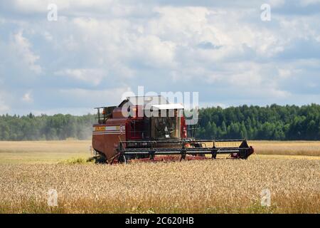 NARO-FOMINSK, RUSSLAND - 31. JUL 2016: Ernte von Weizen. Kombinieren Harvester in landwirtschaftlichen Feldern. Russland ist der erste im Export von Weizen in der w Stockfoto