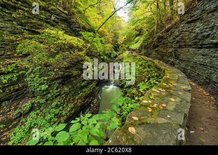 Watkins Glen Gorge Trail und Glen Creek im Herbst, Schuyler County, Finger Lakes Region, New York Stockfoto