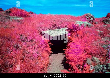 Eintritt zur unterirdischen Passage oder 'Fogou' im Carn Euny Iron Age Village, West Cornwall Großbritannien Stockfoto