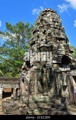 Erstaunliche alte Ta Prohm Tempel mit Bäumen bewachsen. Geheimnisvolle Ruinen von Ta Prohm, eingebettet zwischen Regenwald in Angkor, Siem Reap, Kambodscha. Stockfoto
