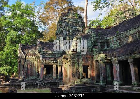 Alte Galerie der erstaunlichen Ta Prohm Tempel mit Bäumen überwuchert. Geheimnisvolle Ruinen von Ta Prohm, eingebettet zwischen Regenwald in Angkor, Siem Reap, Kambodscha. Stockfoto
