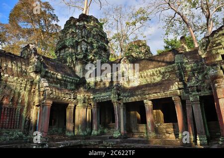 Alte Galerie der erstaunlichen Ta Prohm Tempel mit Bäumen überwuchert. Geheimnisvolle Ruinen von Ta Prohm, eingebettet zwischen Regenwald in Angkor, Siem Reap, Kambodscha. Stockfoto
