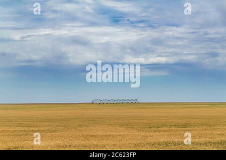 Bewässerungsanlagen in der Mitte eines sehr großen Maisfeldes, Kansas, USA Stockfoto