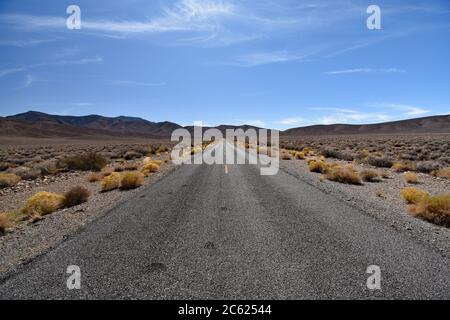 Gelbe Büsche säumen die Autobahn mit gelben Linien in der Mitte. Braune Wüstenberge und blauer Himmel. Emigrant Canyon Road Death Valley. Stockfoto