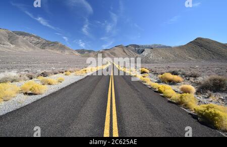 Gelbe Büsche säumen die Autobahn mit gelben Linien in der Mitte. Braune Berge und blauer Himmel. Emigrant Canyon Road Death Valley, Kalifornien Stockfoto