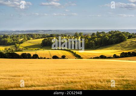 Landschaftlich reizvolle Aussicht auf die ländliche Landschaft rund um den Farley Mount in der Nähe von Hursley im Sommer, Farley Mount Country Park, Hampshire, England, Großbritannien Stockfoto