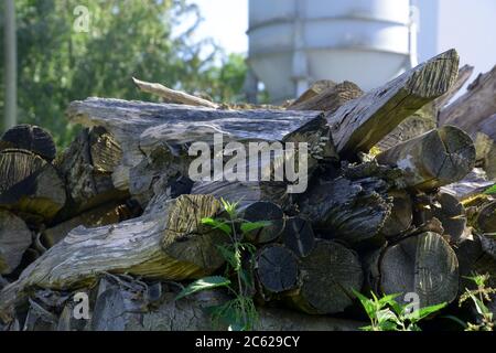 Stapel von altem Brennholz im Garten im warmen Sommer Stockfoto