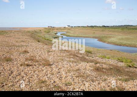Lagune in Slack Bereich der bewachsenen Kiesstrand Ökosystem, Shingle Street, Suffolk, England, Großbritannien Stockfoto