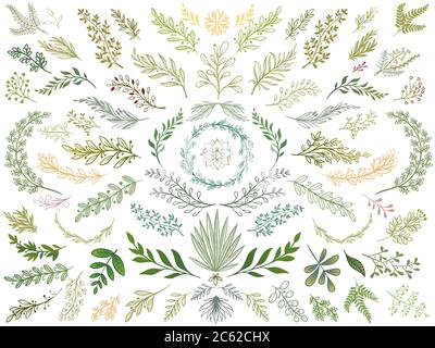Dekorblätter. Handgezeichnete grüne Äste, Natur grüne Pflanzen Blatt und dekorative Skizze Blätter isoliert Vektor Illustration Set Stock Vektor