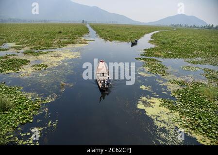 Srinagar, Indien. Juli 2020. Ein Kashmiri Bootsmann rudert sein Boot auf Dal See während eines heißen Sommertages in Srinagar. Kredit: SOPA Images Limited/Alamy Live Nachrichten Stockfoto