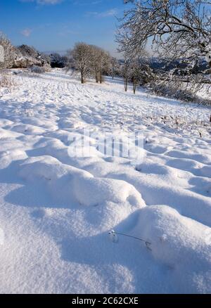 Snow Scene, Newlands Corner, North Downs, Surrey, Großbritannien Stockfoto