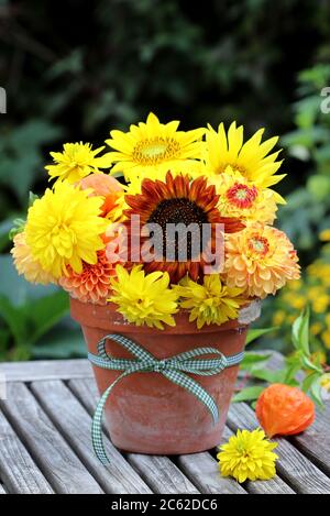 Blumenstrauß von Sonnenblumen in Terrakotta-Topf Stockfoto