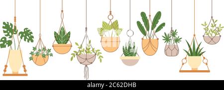 Pflanzen in hängenden Töpfen Set, Vektor-Illustration Stock Vektor