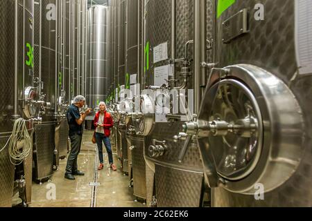 Jörg Geiger Manufaktur für Obstwein und Säfte. 42 Edelstahltanks - die neue große Speisekammer im Werk II der Jörg Geiger Manufaktur Stockfoto