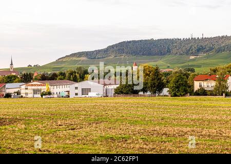 Weingut Hans Wiersching in Iphofen, Deutschland Stockfoto