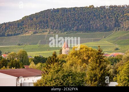 Weingut Hans Wiersching in Iphofen, Deutschland Stockfoto