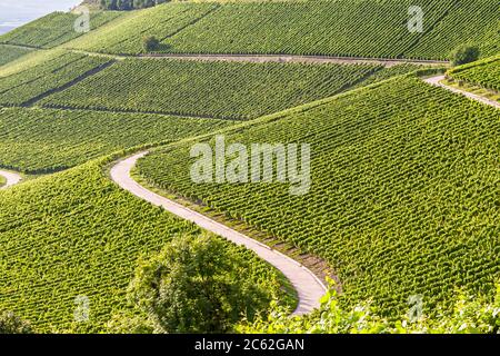 Weingut Hans Wiersching in Iphofen, Deutschland Stockfoto