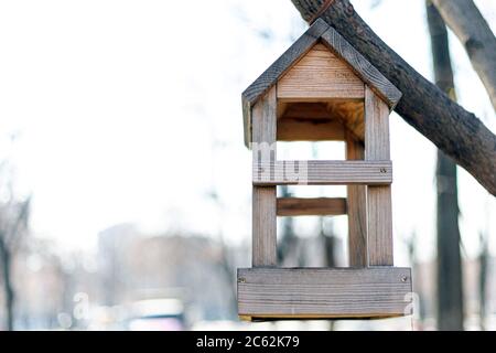 Leeres kleines Vogelhaus aus Holz, das am sonnigen Frühlingstag am Baum hängt. Nahaufnahme, Hintergrund, Kopierbereich Stockfoto