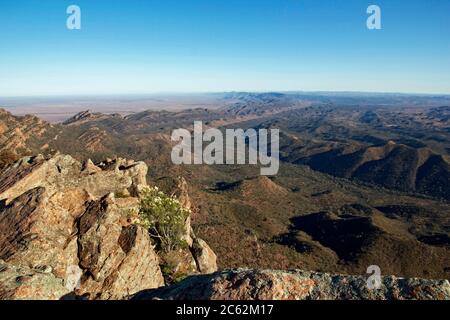 Verdrehte und gefaltete uralte Felsen der Flinders Ranges in Südaustralien, die an einem sonnigen Frühlingsmorgen von der Spitze des St. Mary’s Peak aus gesehen werden Stockfoto