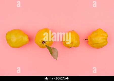 Bio-Quitte auf rosa Hintergrund.reife Früchte. Stockfoto