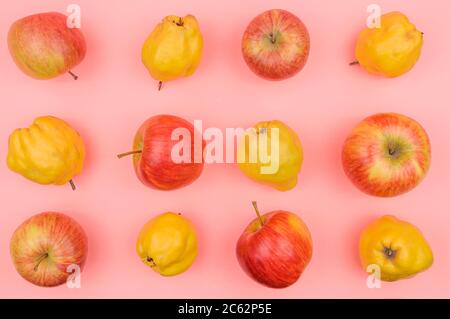 Äpfel und Quitten auf rosa Hintergrund. Stockfoto