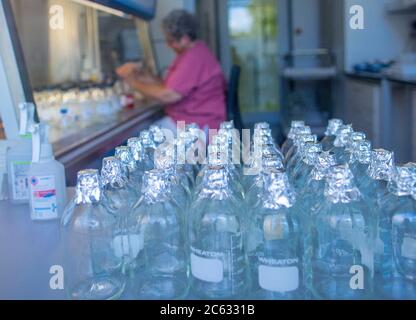 Riems, Deutschland. Juli 2020. Laborgebäude mit hoher Sicherheitsstufe des Friedrich-Loeffler-Instituts auf der Insel Riems. Die Bundesforschungsanstalt für Tiergesundheit hat die Aufgabe, einerseits die Gesundheit von lebensmittelproduzierenden Tieren zu erhalten und andererseits den Menschen vor Zoonosen zu schützen. Das derzeit drängendste Forschungsprojekt sind Tierversuche zur Erforschung des neuartigen Coronavirus. Quelle: Jens Büttner/dpa-Zentralbild/ZB/dpa/Alamy Live News Stockfoto