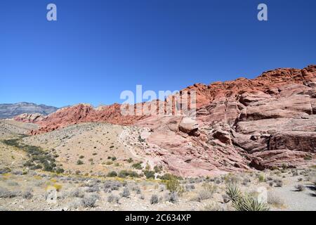 Die Red Rock Formation der Calico Hills im Red Rock National Conservation Area. Wüstenbelaub in grün und gelb sind unter den Hügeln. Stockfoto