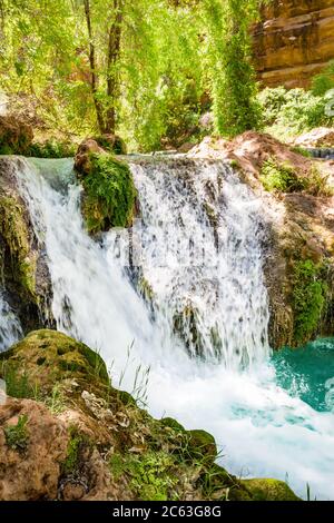 Unterhalb der Mooney Falls auf Havasu Creek gibt es viele Pools und Wasserfälle, die von üppiger grüner Vegetation umgeben sind. Auf Havasupai Indian Tribe Land, AZ. Stockfoto