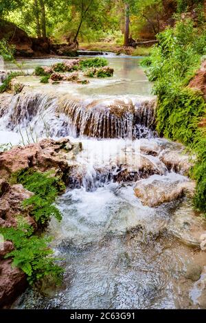 Unterhalb der Mooney Falls auf Havasu Creek gibt es viele Pools und Wasserfälle, die von üppiger grüner Vegetation umgeben sind. Auf Havasupai Indian Tribe Land, AZ. Stockfoto