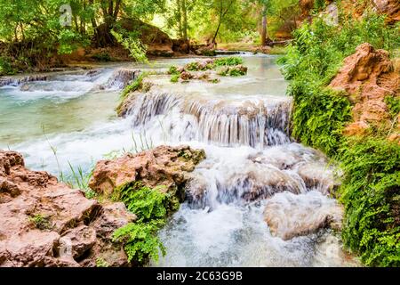 Unterhalb der Mooney Falls auf Havasu Creek gibt es viele Pools und Wasserfälle, die von üppiger grüner Vegetation umgeben sind. Auf Havasupai Indian Tribe Land, AZ. Stockfoto