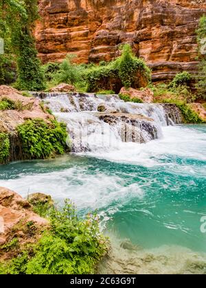 Unterhalb der Mooney Falls auf Havasu Creek gibt es viele Pools und Wasserfälle, die von üppiger grüner Vegetation umgeben sind. Auf Havasupai Indian Tribe Land, AZ. Stockfoto