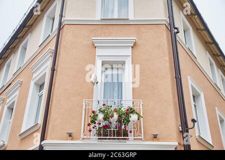 BILD 8552 Stockfoto