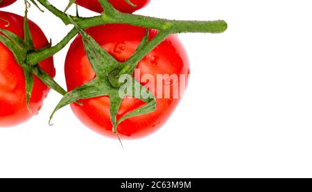 Tomaten auf dem grünen Zweig. Die Aussicht von oben. Isoliert auf weißem Hintergrund Stockfoto