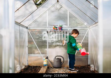 Kleiner Junge hält Gießkannen im Garten Gewächshaus im Frühling Stockfoto