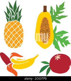 Ein Satz bemalter Früchte. Ananas, Granatapfel und Papaya, Banane. Vektorgrafik Stock Vektor