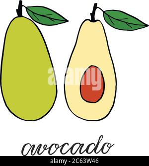 Vektor-Illustration, grüne Avocado, mit einem grünen Blatt, eine ganze Frucht und eine halbe Frucht mit einem Knochen.Avocado Inschrift. Stock Vektor