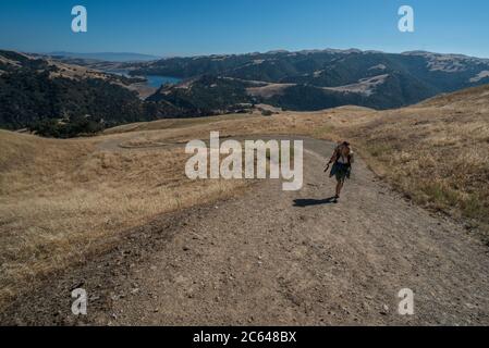 Eine Einzelperson geht bergauf entlang einer unbefestigten Straße in Sunol Wildnis in Alameda County, Kalifornien. Stockfoto