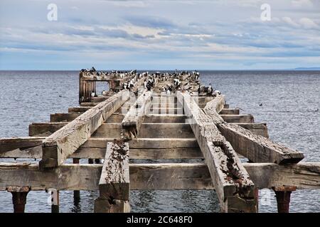 Alte Wharf im Hafen von Punta Arenas, Patagonien, Chile Stockfoto