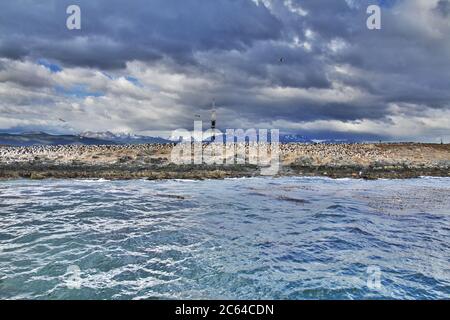 Vögel und Pinguine auf der Insel im Beagle Kanal in der Nähe von Ushuaia Stadt, Feuerland, Argentinien Stockfoto