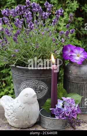 Sommer Gartendekoration mit Lavendel, Kerze und Beton Vogel Stockfoto